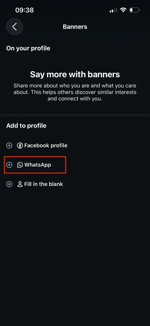 Instagram 'Add to profile' screen with the WhatsApp option highlighted